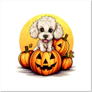 Poodle Dog inside Pumpkin #1 Posters and Art